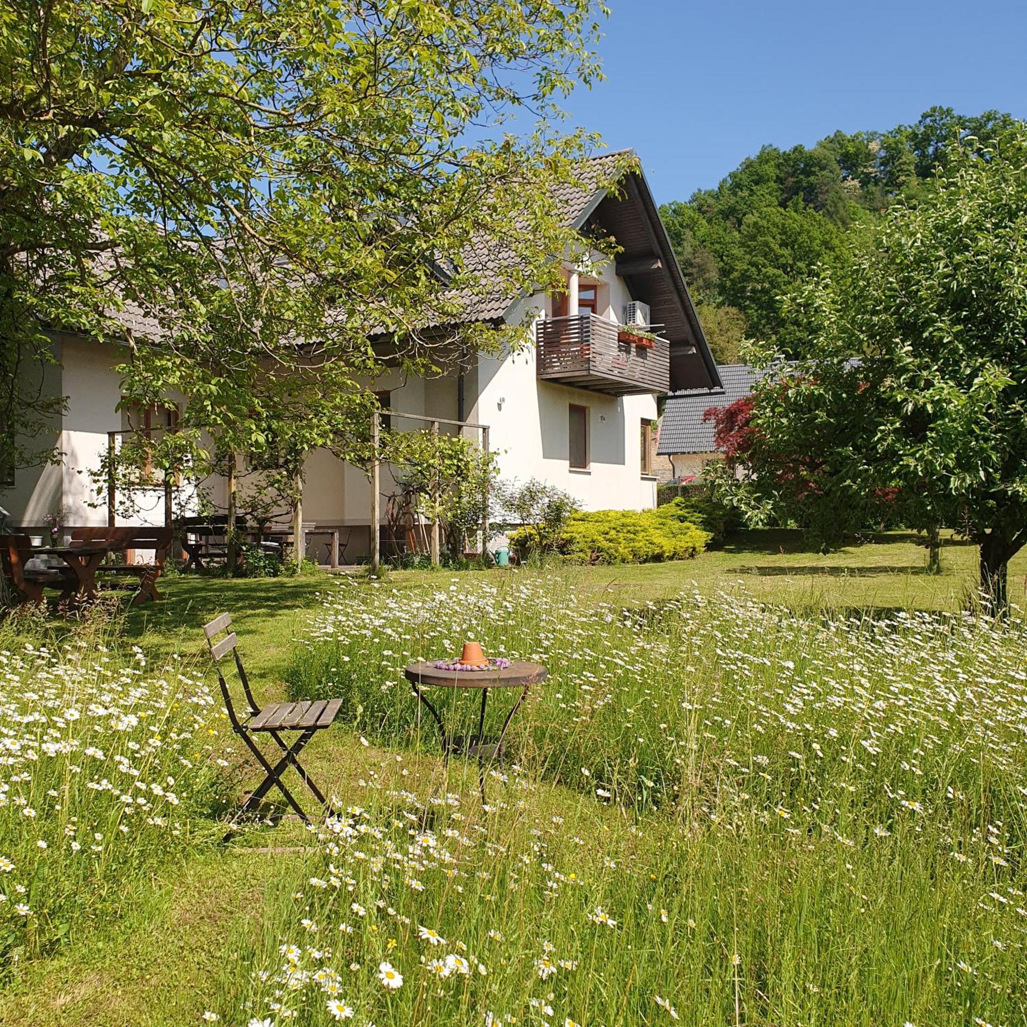 River House Radolca Radovljica Kültér fotó